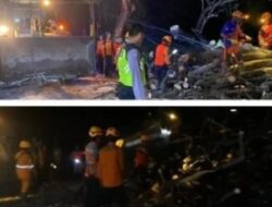 Penanganan Cepat Polsek Prajekan Tangani Pohon Tumbang yang Menghambat Akses Jalan