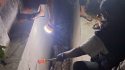 Bidan RSUD Besuki Tewas di Pantura Banyuglugur, Polisi Dalami Dugaan Pembunuhan Yang Dilakukan Oleh Suaminya